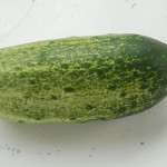 Kirby Cucumber