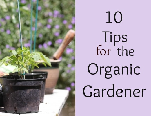 10-Organic-Garden-Tips.jpg