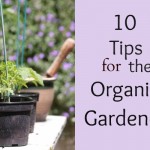 10 tips for the organic gardener