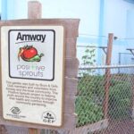 Positive Sprouts Program