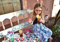 Bigelow Tea, Earth Day, sustainable efforts, zero waste tea company