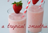 smoothie recipes, tropical smoothie recipe, dairy free smoothie recipe, coconut milk, smoothies