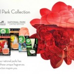 air wick, scents, oils, candles