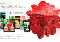 air wick, scents, oils, candles