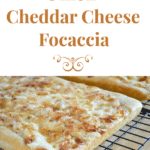 onion, cheddar cheese, focaccia, appetizer, recipe